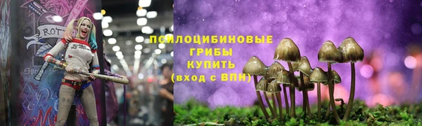 PSILOCYBIN Абинск